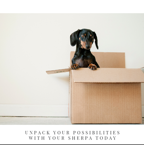 unpack your possibilities.png