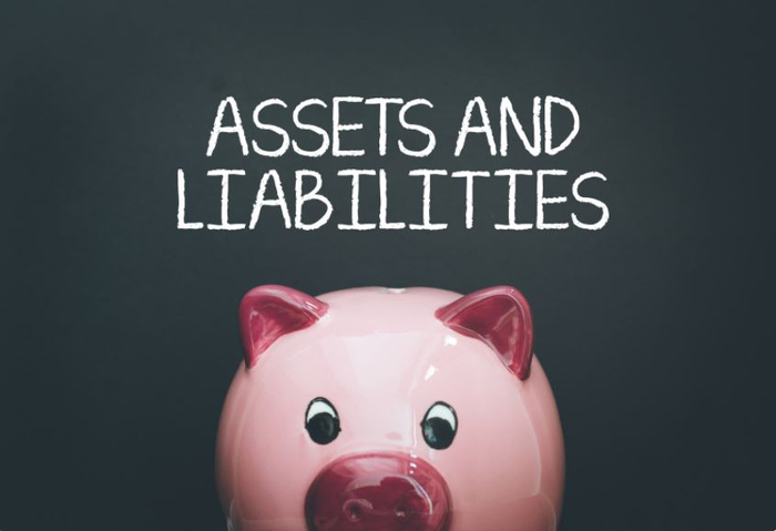 asset and liabilities.JPG