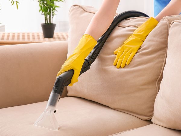 Image of someone using a machine to clean a couch cushion.