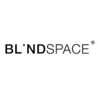 BlindSpace Logo (1).jpg