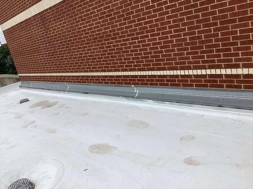 520246165_1270006518165930_7453664532623461250_n (1).jpg