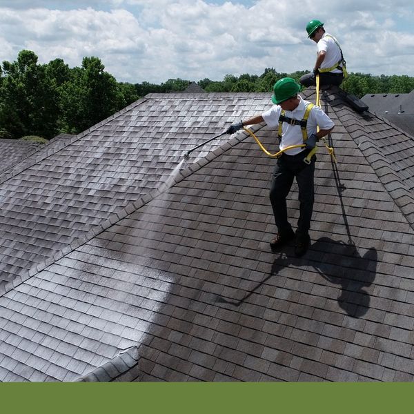 Roofers spraying shingles