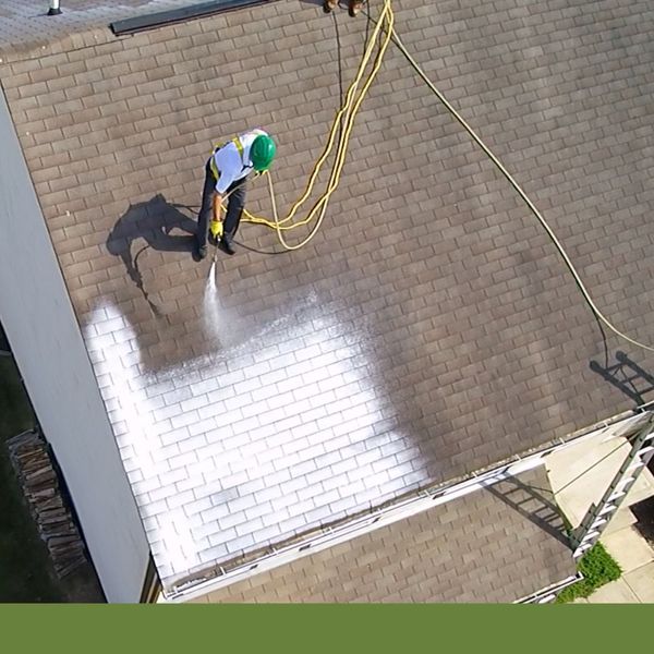 roof rejuvenation services