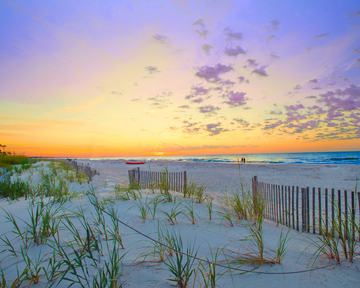 South Carolina landscape. South Carolina