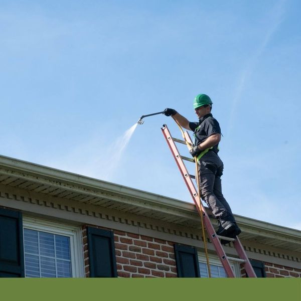 Roof restoration system application