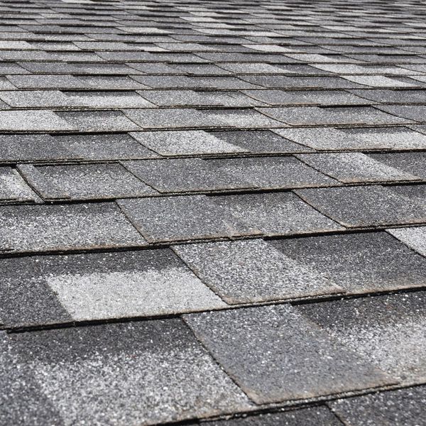 shingles in humid climate