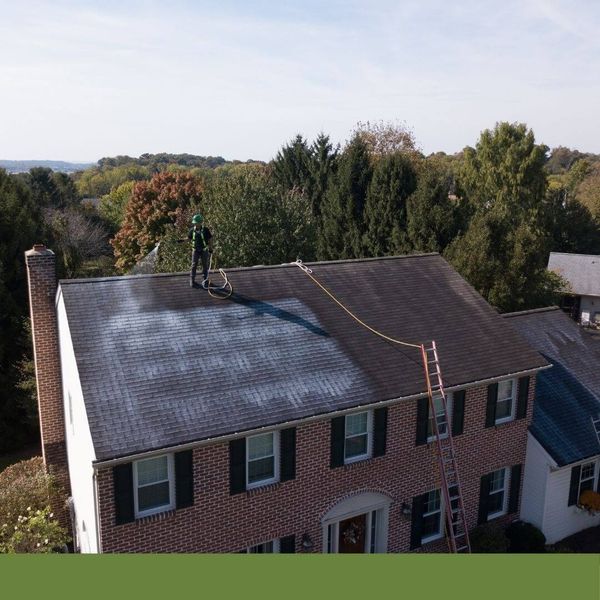 roof restoration services