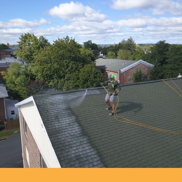 roof cleaning service for property management