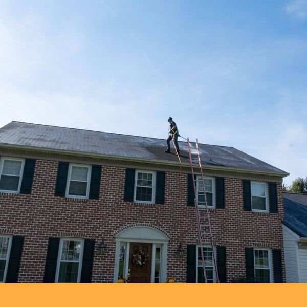 roof cleaning application