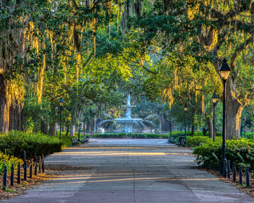 Georgia landscape. Georgia