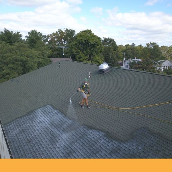 roof cleaning services