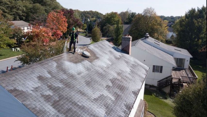 roof rejuvenation roof rejuvenation