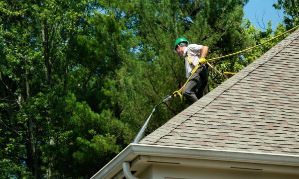 Roof Cleaning for Realtors1.jpg