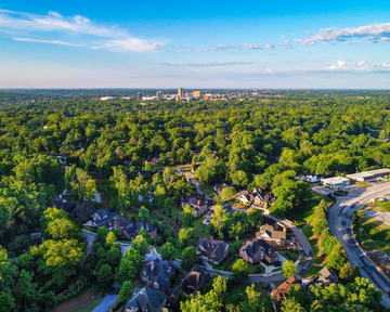 Greenwood forest aerial view.