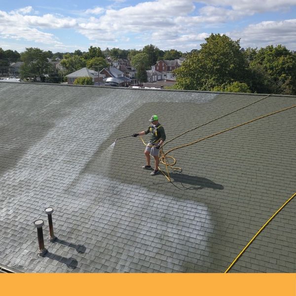 roof cleaning services for a commercial property