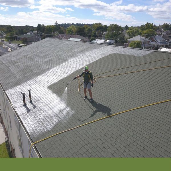 roof rejuvenation system