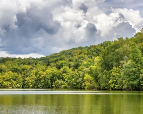 Kingsport