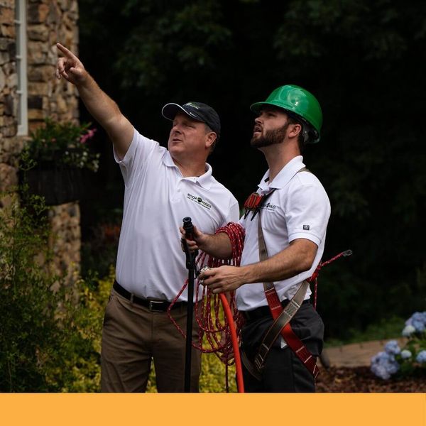 Guaranteed Roof employees pointing toward a roof