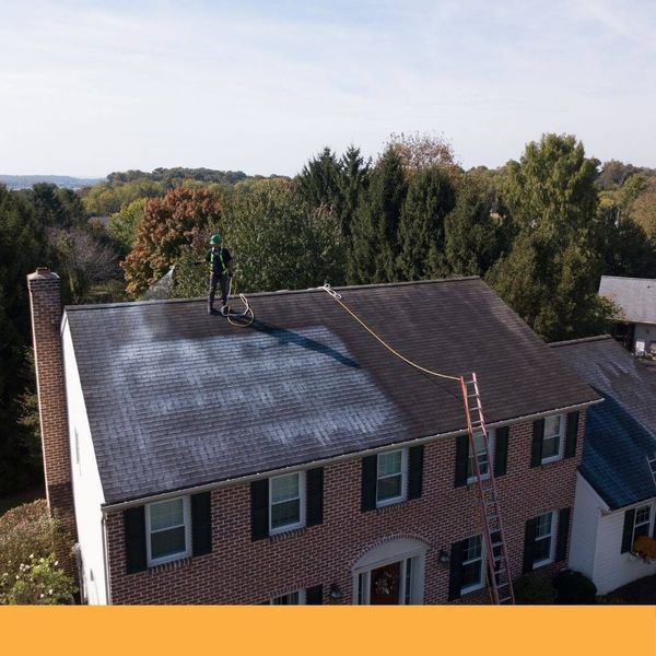 Roof shampoo application on house