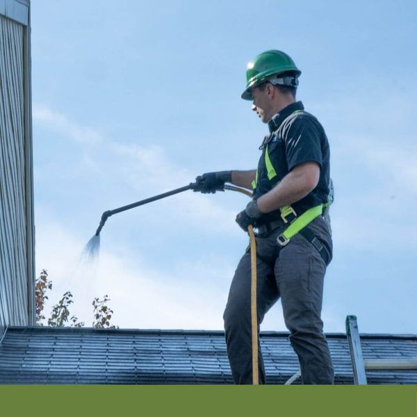 roof cleaning