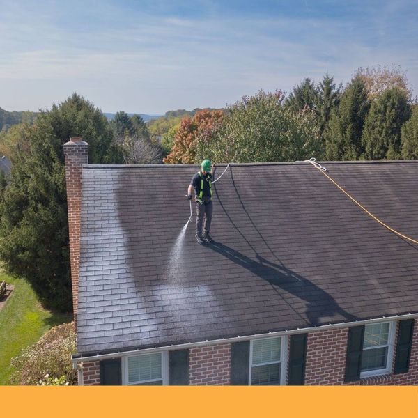 roof cleaning