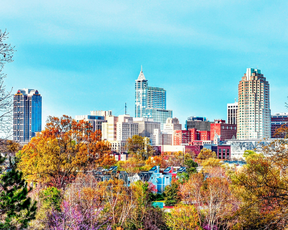 Raleigh cityscape. Raleigh