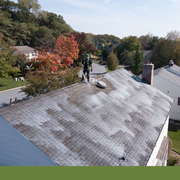 roof shampooing