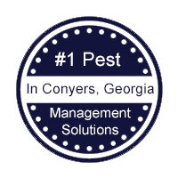 1 Pest Management Solutions In Conyers, Georgia.png