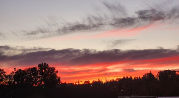 Northwest Sunset.JPG