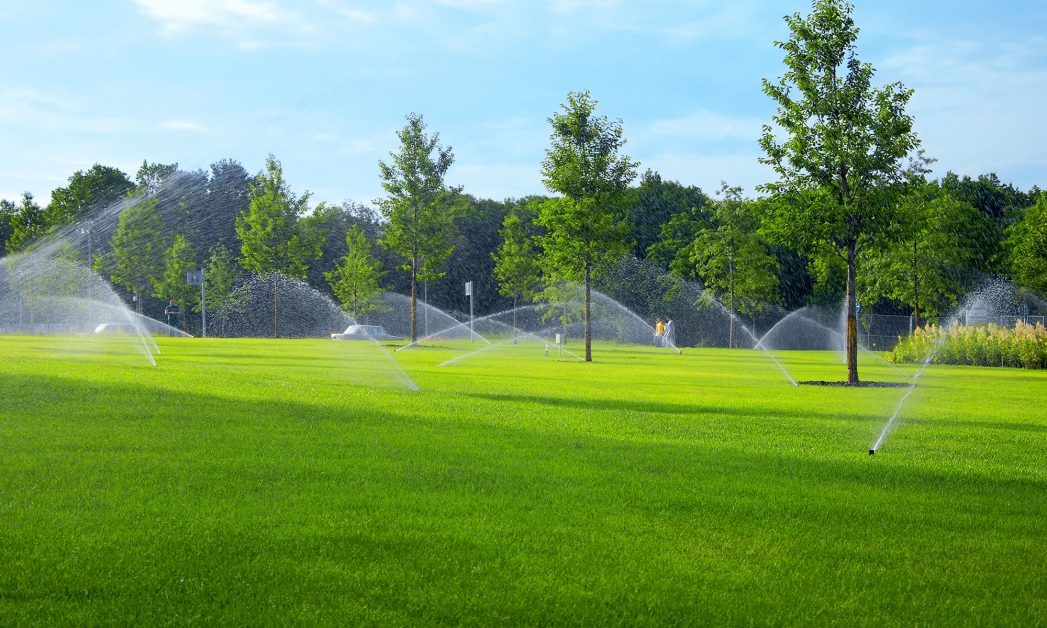 Is It Time to Upgrade Your Sprinklers? Landscaping Greeley Pribble