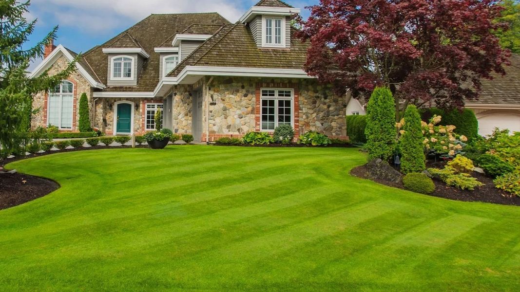 Luxurious stone and siding residential home with a perfectly manicured front yard, featuring a vibrant green lawn striped by professional mowing.