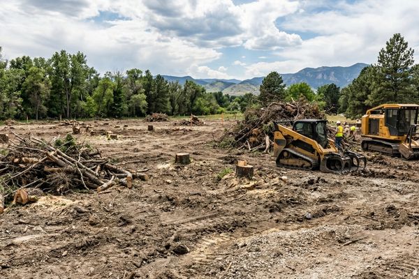 Freshly cleared lot with tree stumps, brush piles, and open land ready for construction