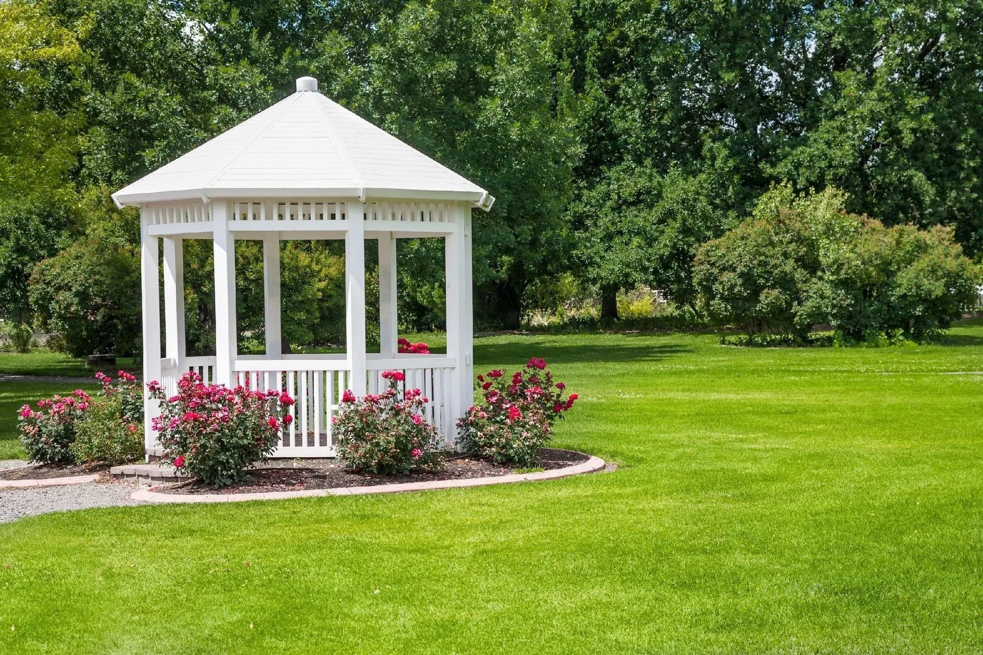 White wooden backyard gazebo surrounded by vibrant red rose bushes, situated on a well-maintained green lawn.