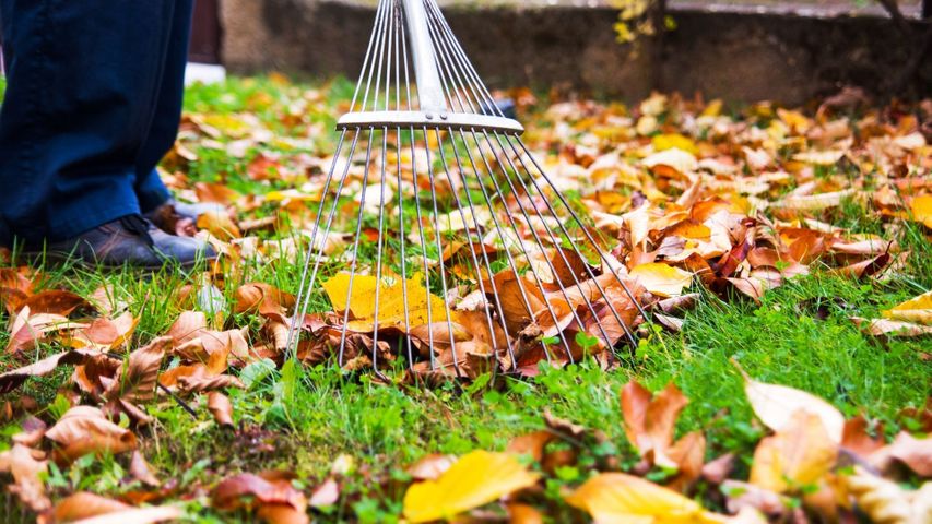 homepage gallery 3.jpg