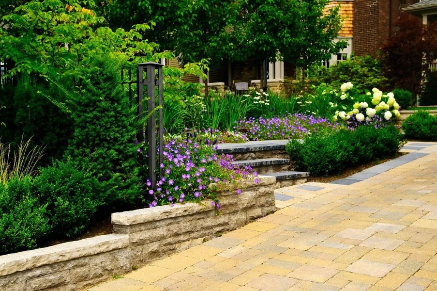 Beautifully designed residential entryway with a stone block retaining wall, paver driveway, purple creeping flowers, green shrubs, and a short set of natural stone steps.