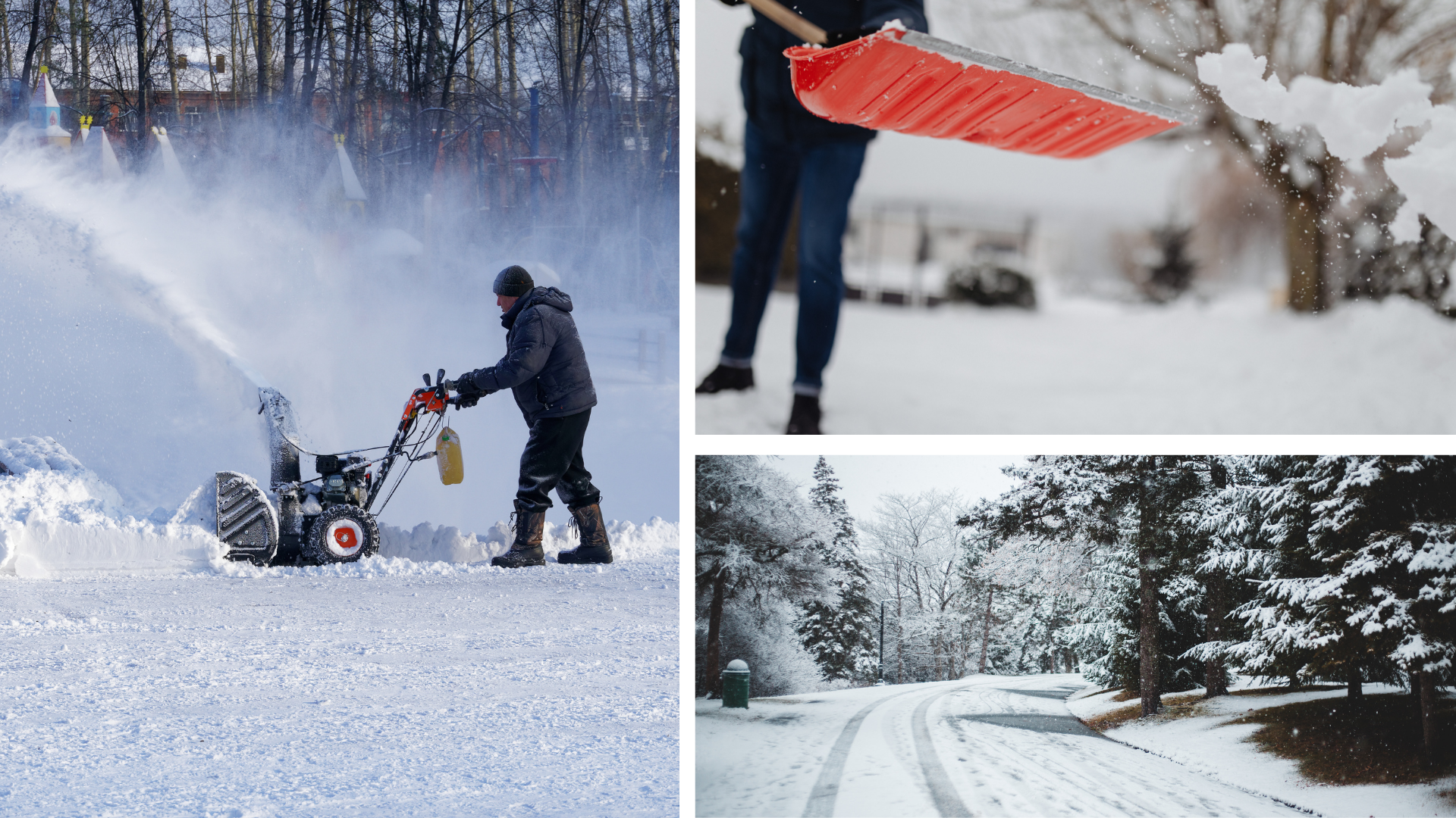 homepage collage.png