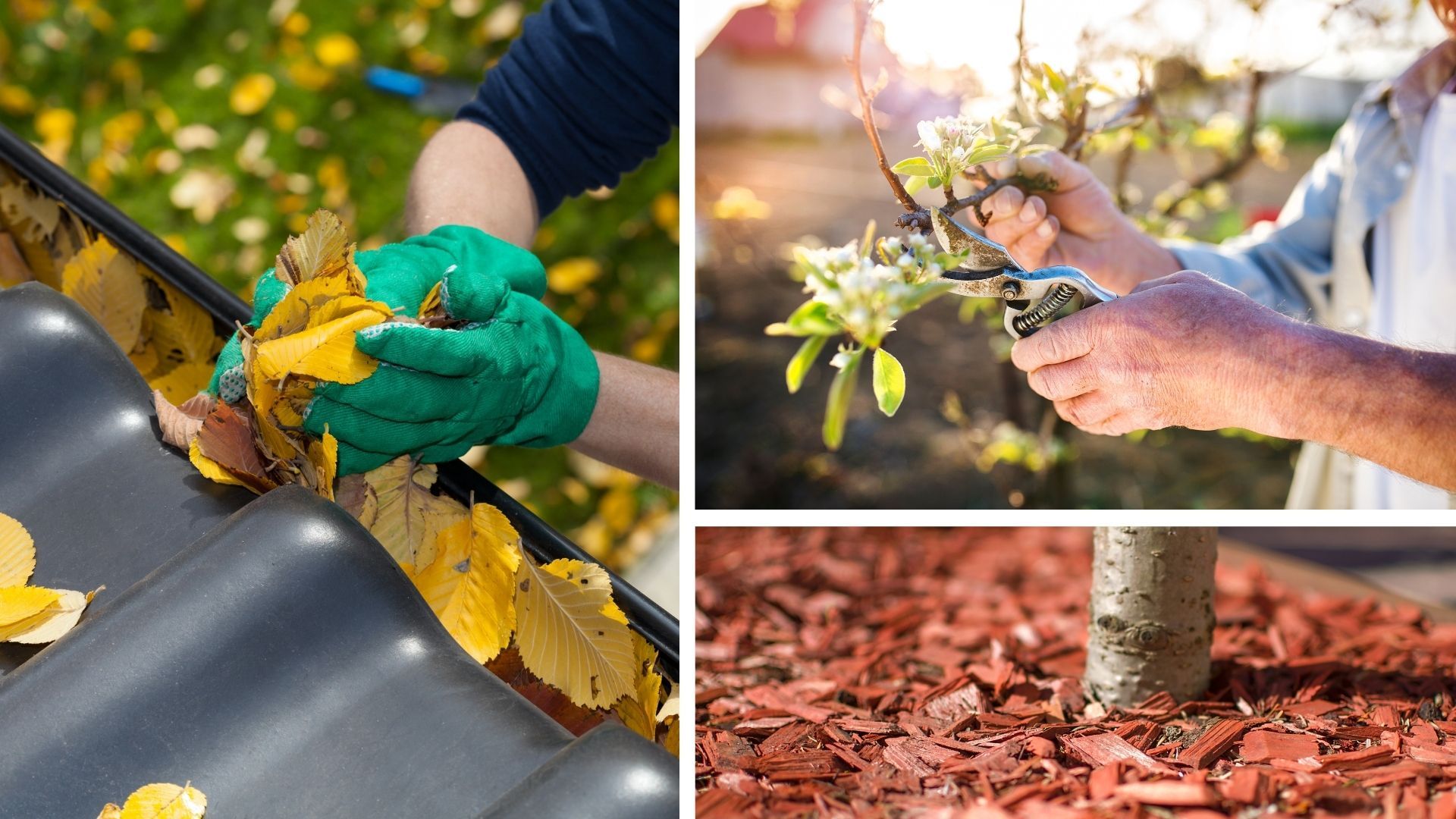 homepage collage.jpg