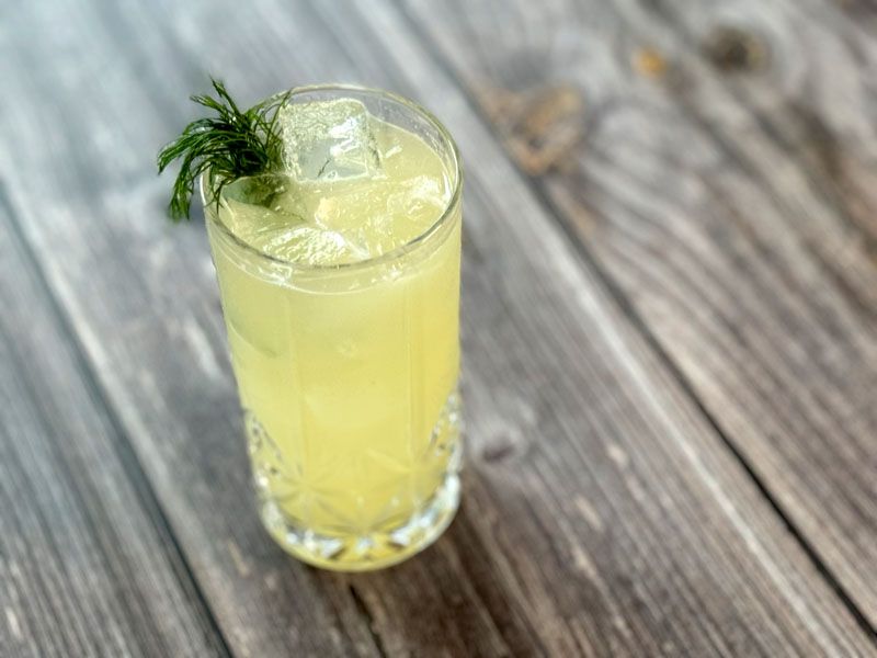 Fennel & Cucumber Fizz.jpg