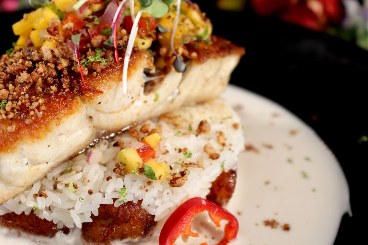 Grouper - 3.jpg