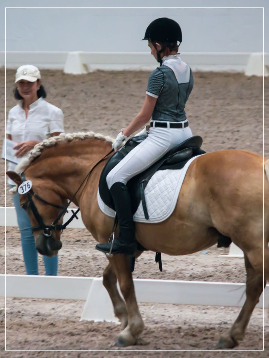 Horse School Image - Tucker 1.jpg