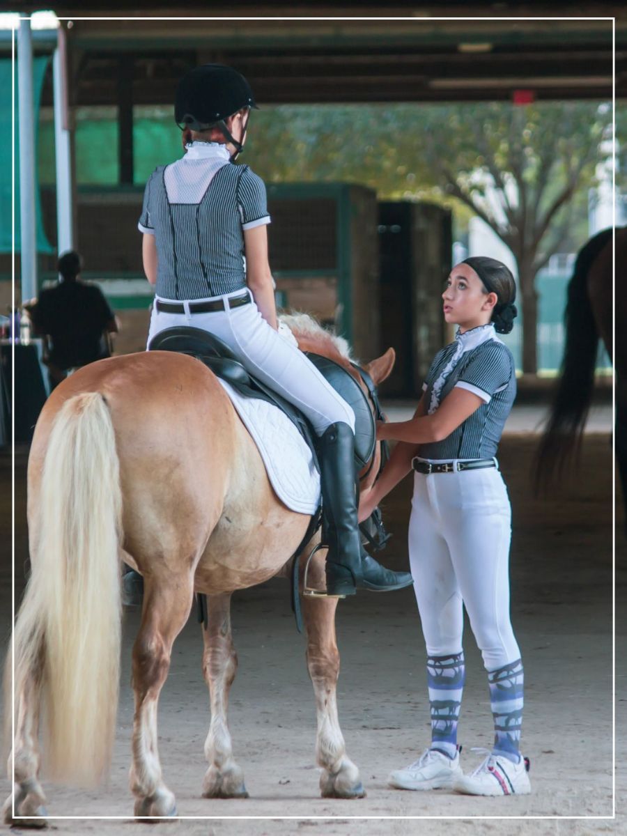 Horse School Image - Tucker 3.jpg