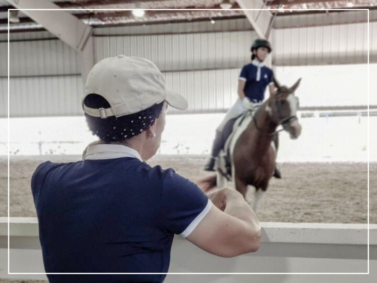 Horseback Riding Lessons