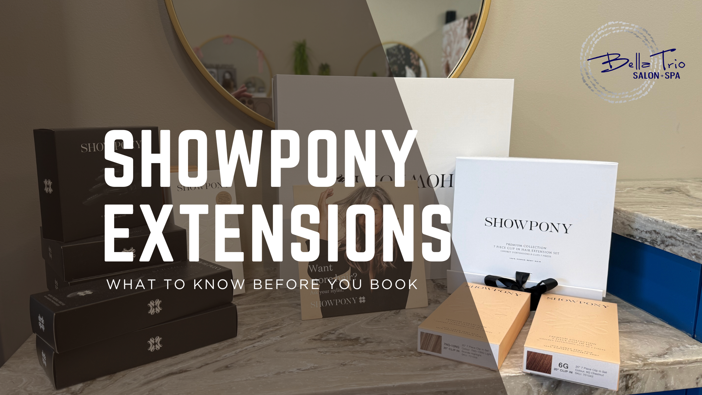 showpony banner.png
