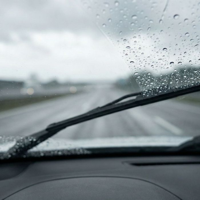 Stop Shopping Around - 4.jpg