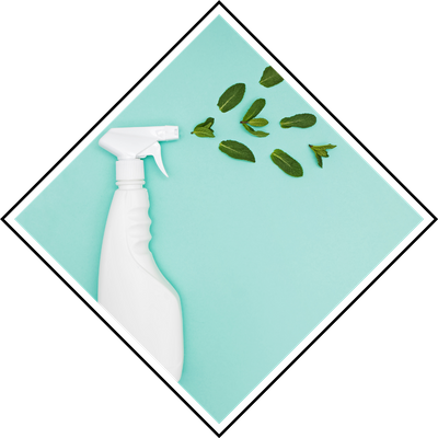 green cleaning products