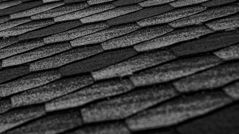 shingle hero.jpg