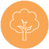 tree icon