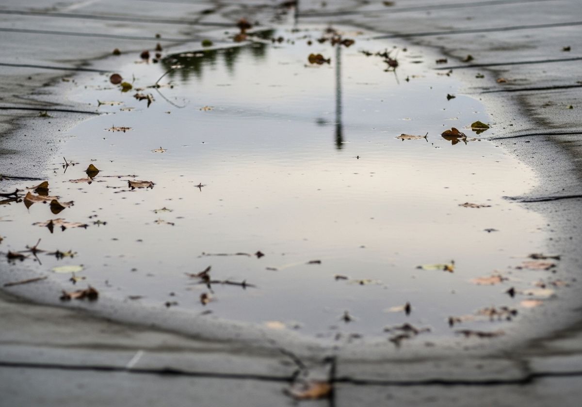 Puddle Reflecting the Sky