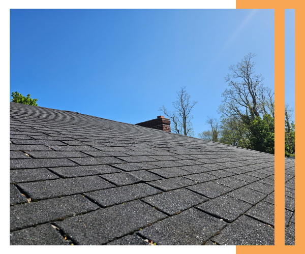 shingle roof