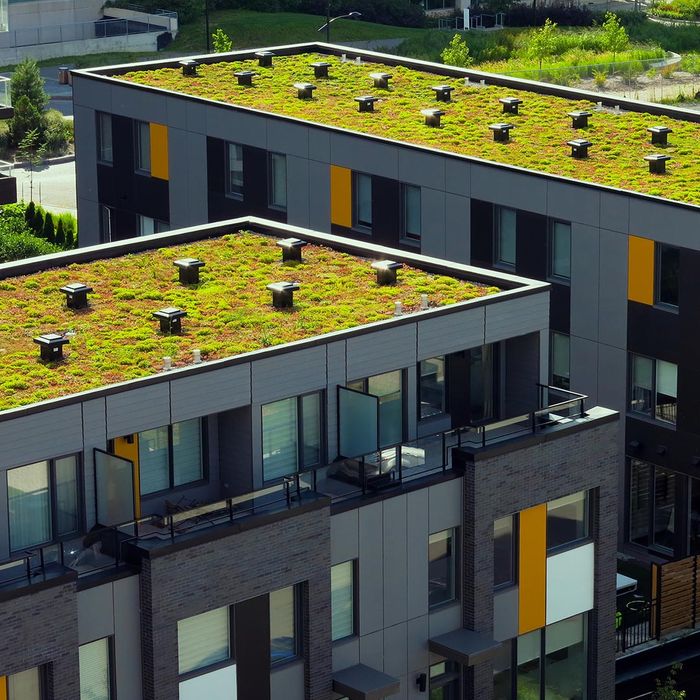 buildings with living roofs